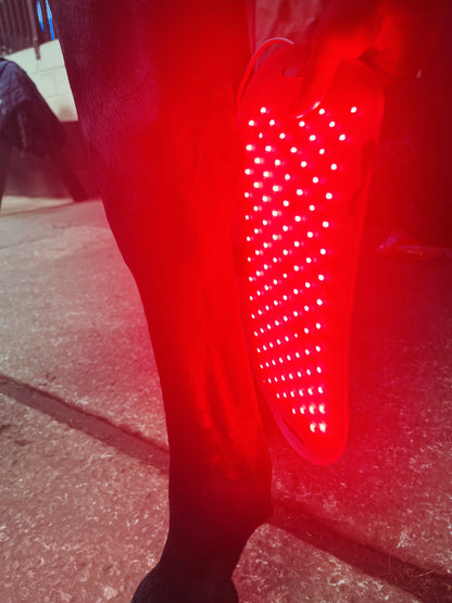 Equi-Heal Light Therapy Pad